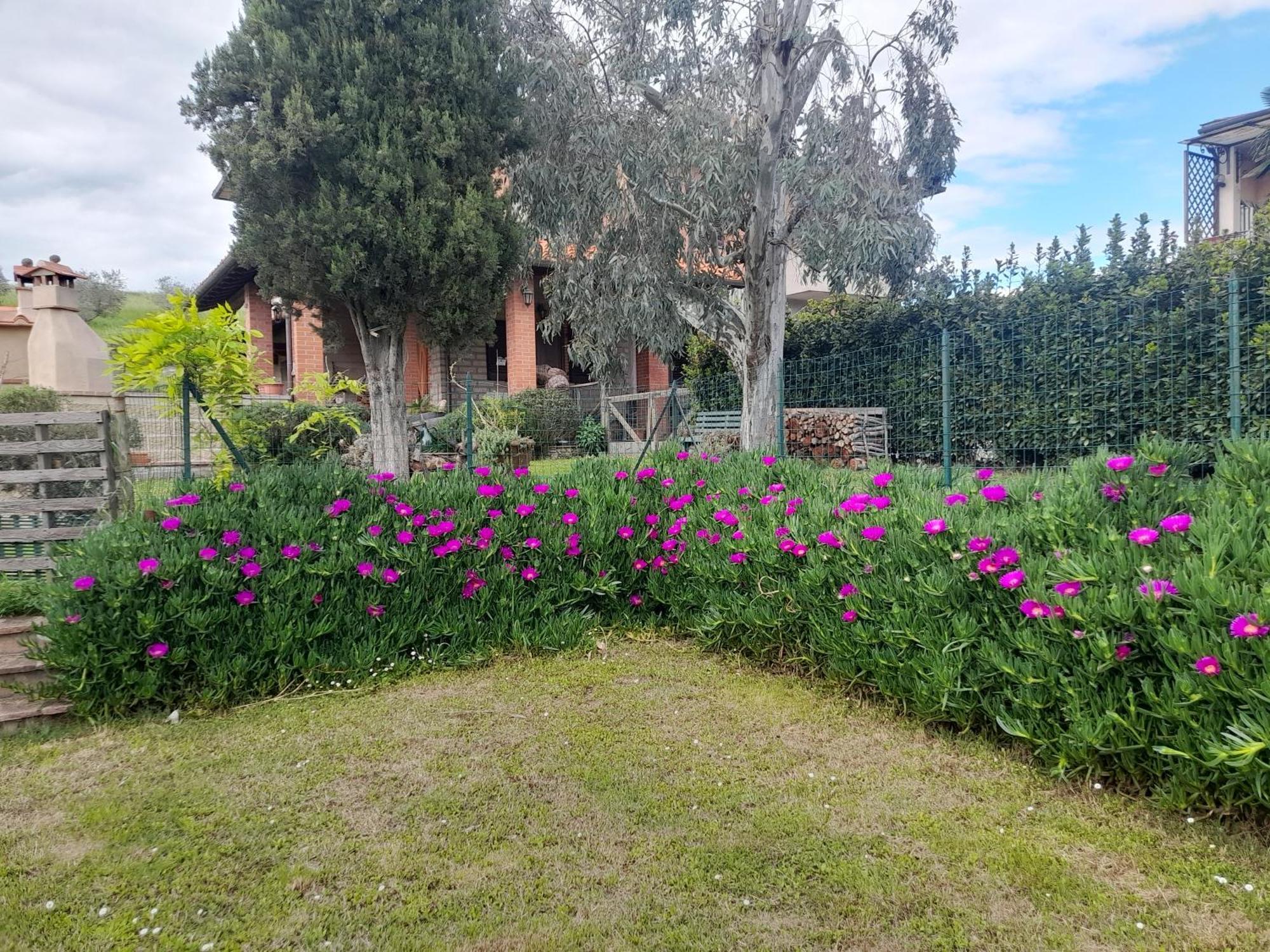 Agriturismo Santa Adriana Вольтерра Экстерьер фото
